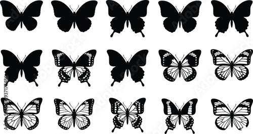 Butterfly silhouette vector set, detailed butterfly wings collection isolated insect icons for nature, tattoo and decorative design