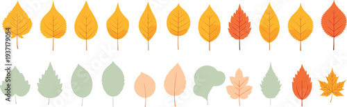Autumn tree leaves collection with different foliage shapes in flat style seasonal nature vector illustration set