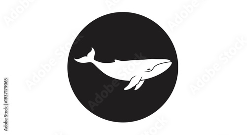 Minimalist white whale silhouette in a black circle, simple vector illustration