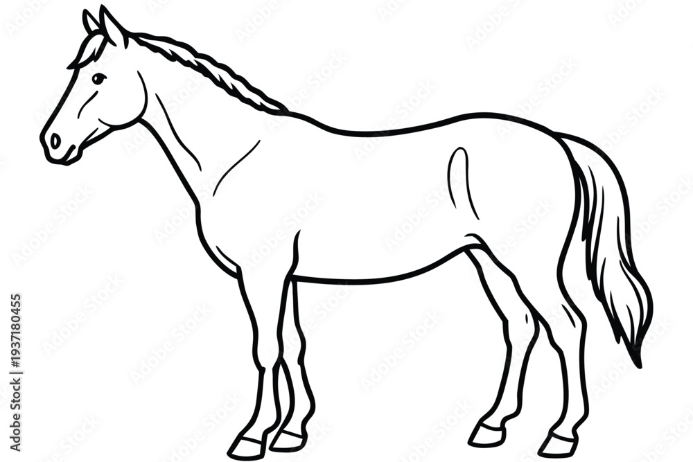 Fototapeta premium Horse, Equine Outline