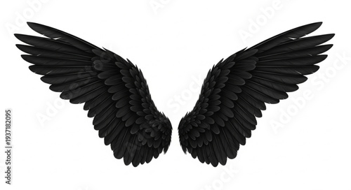 Pair of large black feathered angel wings isolated on white background.