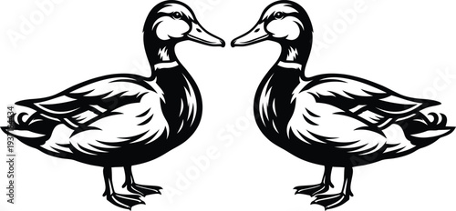 vector illustration of a farm animals