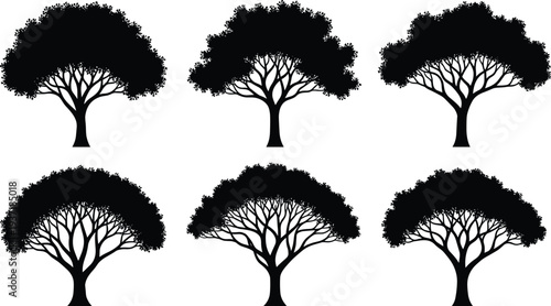 Tree silhouettes collection, detailed leafy canopy trees set, nature woodland vector illustration, black botanical tree icons isolated design bundle