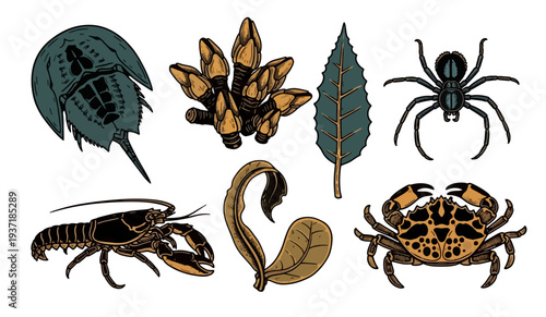 Collection of hand-drawn marine and terrestrial animals with leaves
