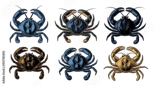 Set of six intricately detailed vintage crab illustrations