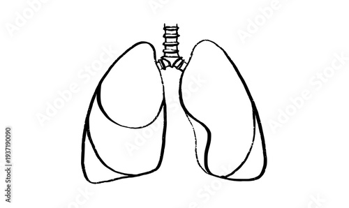 Lungs Sketch Poster