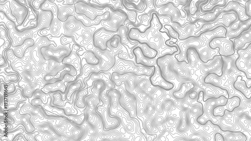 Abstract topography contour map background texture .black wave lines and white paper topographic design. Vector design.