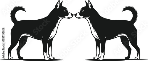 Two black and white dogs facing each other silhouette animals canine