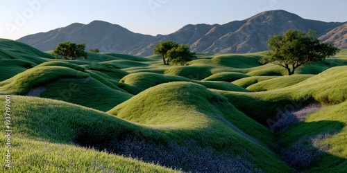 Rolling green hills under a clear sky at sunset