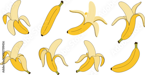 Fresh Yellow Banana Set Featuring Whole Fruits and Peeled Bananas in Various Positions for Healthy Food Design and Fruit Vector Art.