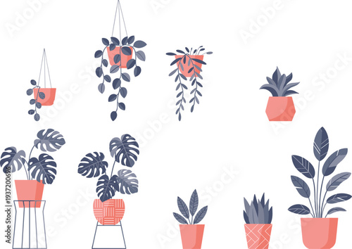 Indoor potted plant collection, modern houseplants in decorative pots and hanging planters, tropical foliage, minimalist botanical vector set for lifestyle design