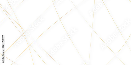 Abstract minimalistic white background with elegant intersecting colorful lines forming a geometric pattern. random chaotic line and creative geometric many square, triangle shape background.