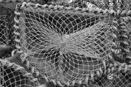 Crab/Lobster net in close up using monochrome media  