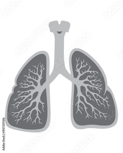 Human Lung Anatomy Icon
