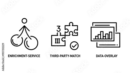 Icons representing enrichment service, third-party match, and data overlay. Concepts for data integration, analysis, and business solutions.