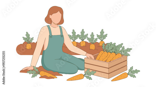 Gardener harvesting fresh carrots from a garden into a wooden crate
