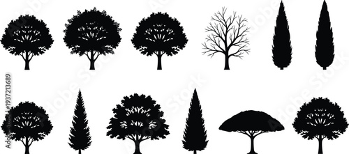 Black tree silhouette vector collection featuring various species like oak, pine, cypress, and maple for forest landscape design, nature graphics, and environment illustrations