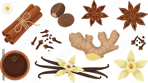 Aromatic spice collection with cinnamon sticks, vanilla pods, ginger root, nutmeg, cloves, star anise, and coffee vector illustration
