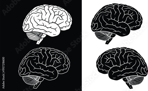 Human brain anatomy silhouette set, medical brain illustration vector collection, neuroscience organ icon, mental health concept, biology anatomy design isolated