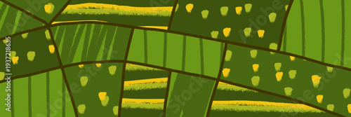 Agriculture farm field and plantation pattern abstract with vineyard texture top view.