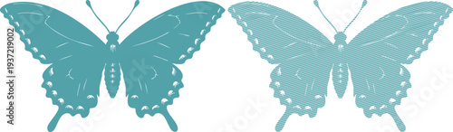 Two teal butterflies one solid one striped butterfly 7