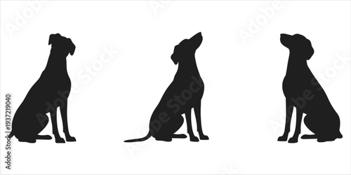 Three Black Silhouette Dog Poses Looking Up On White Background dogs animal