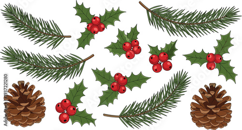 Christmas Pine Branch, Holly Berry, and Pinecone Vector Set with Festive Winter Botanical Elements for Holiday Decoration, Greeting Cards, Seasonal Designs