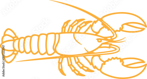 A yellow line drawing of a lobster on a white background Vector, illustration