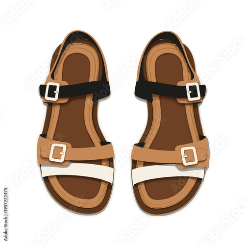 Stylish summer sandals with black and white straps on isolated background  