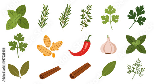 Fresh herbs and spices on white background