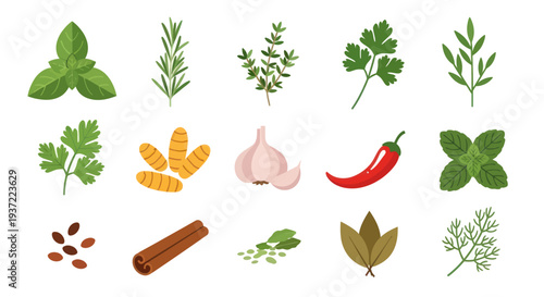 Fresh herbs and spices on white