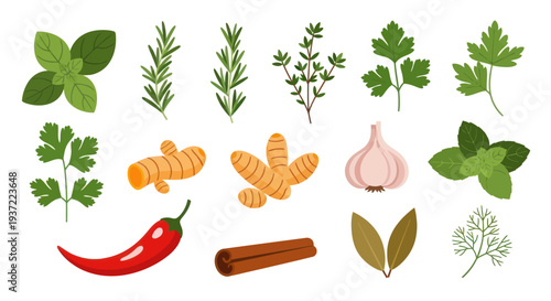 Fresh herbs and spices on white background