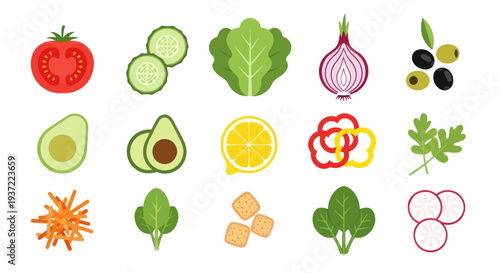 Fresh salad ingredients vector illustration