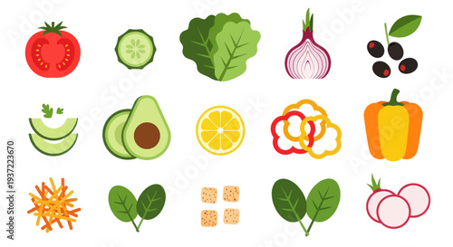 Fresh salad ingredients vector illustration