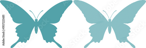 Two Teal Butterflies One Solid One Striped butterfly 2