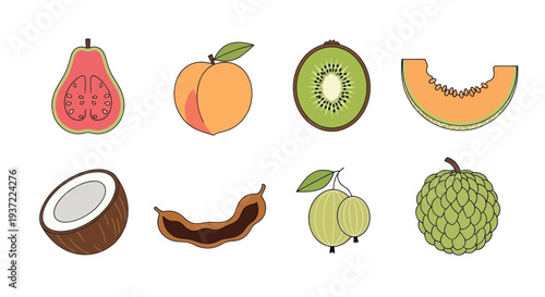 Illustrated fruit collection on white