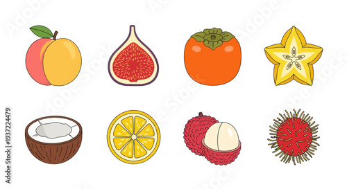 Illustrated tropical fruit collection