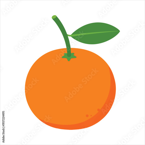 illustration of Tangerine fruit art