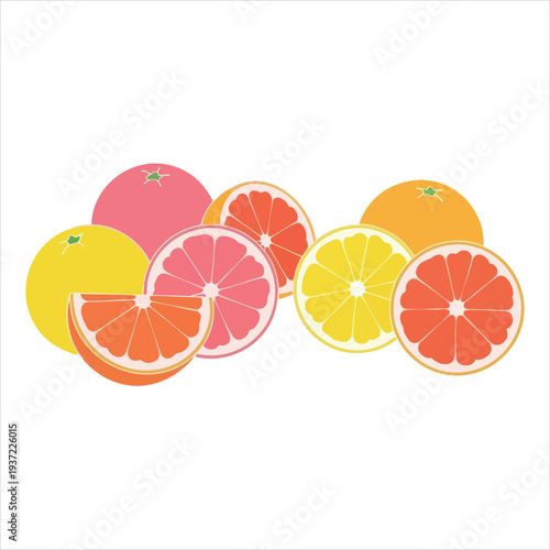 illustration of grapefruit art