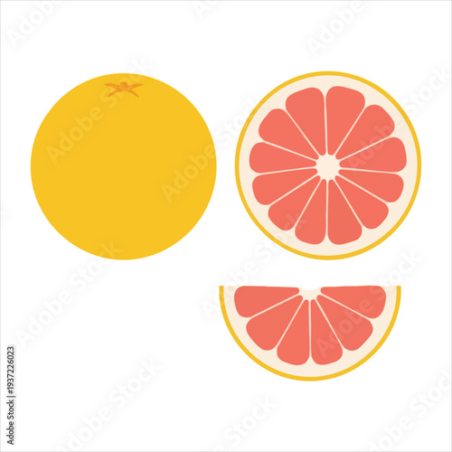 illustration of grapefruit art