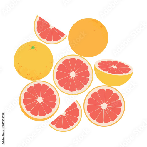 illustration of grapefruit art