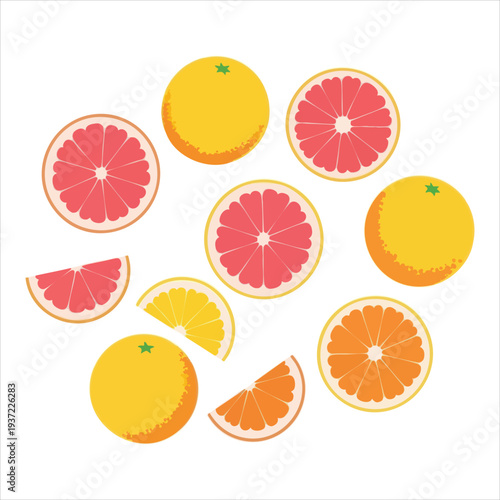 illustration of grapefruit art