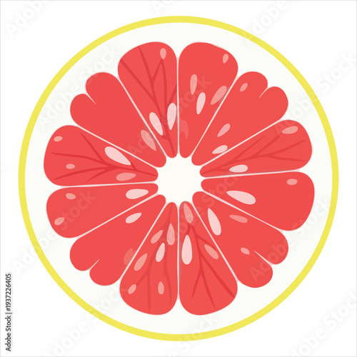 illustration of grapefruit art