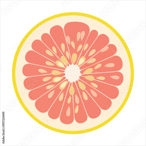 illustration of grapefruit art