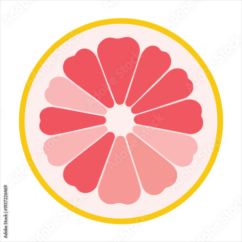illustration of grapefruit art