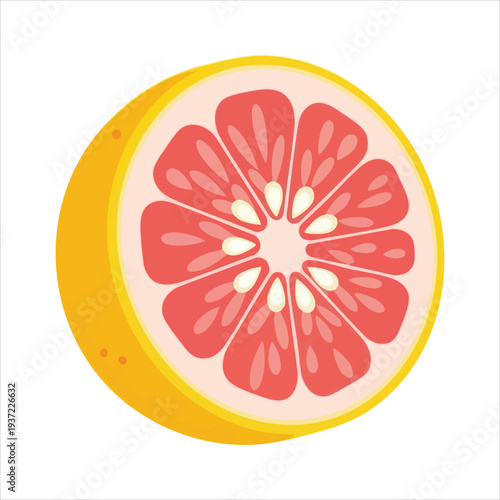 illustration of grapefruit art