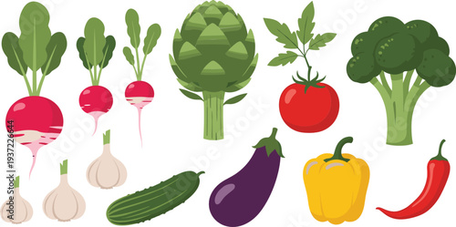 Fresh Vegetable Vector Set with Radish, Artichoke, Tomato, Broccoli, Garlic, Cucumber, Eggplant, Bell Pepper, and Chili Healthy Food Illustration Collection