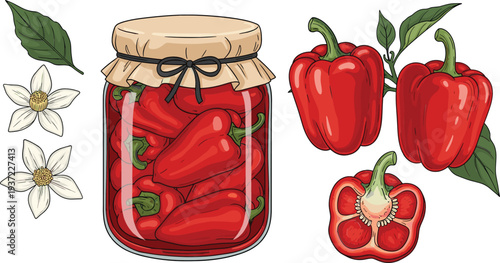 Red bell pepper and pickled peppers in glass jar with flowers and leaves hand drawn vegetable vector illustration