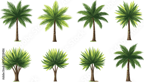 Tropical Palm Tree Vector Set with Different Green Palm Varieties Exotic Summer Nature Plants Collection for Beach Landscape, Island Travel, and Garden Designs