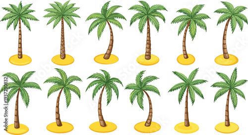 Palm, trees, tropical, island, beach, coconut, summer, exotic, nature, paradise, sand, vacation, botanical, green, leaves, seaside, illustration, tropical, plant, vector